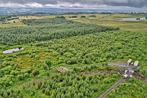 3 remarkable reasons why Igne’s client is rewilding hillside in the heart of Wales